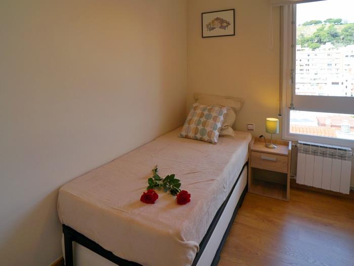 Short term rentals in Barcelona