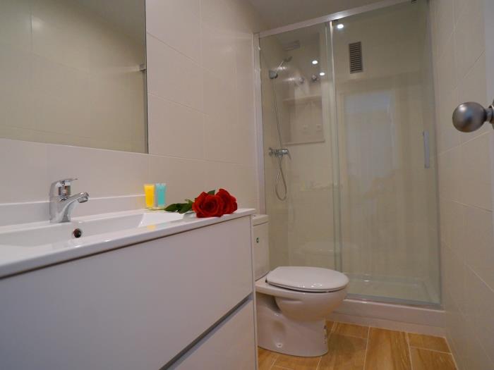 Long term rentals in Barcelona